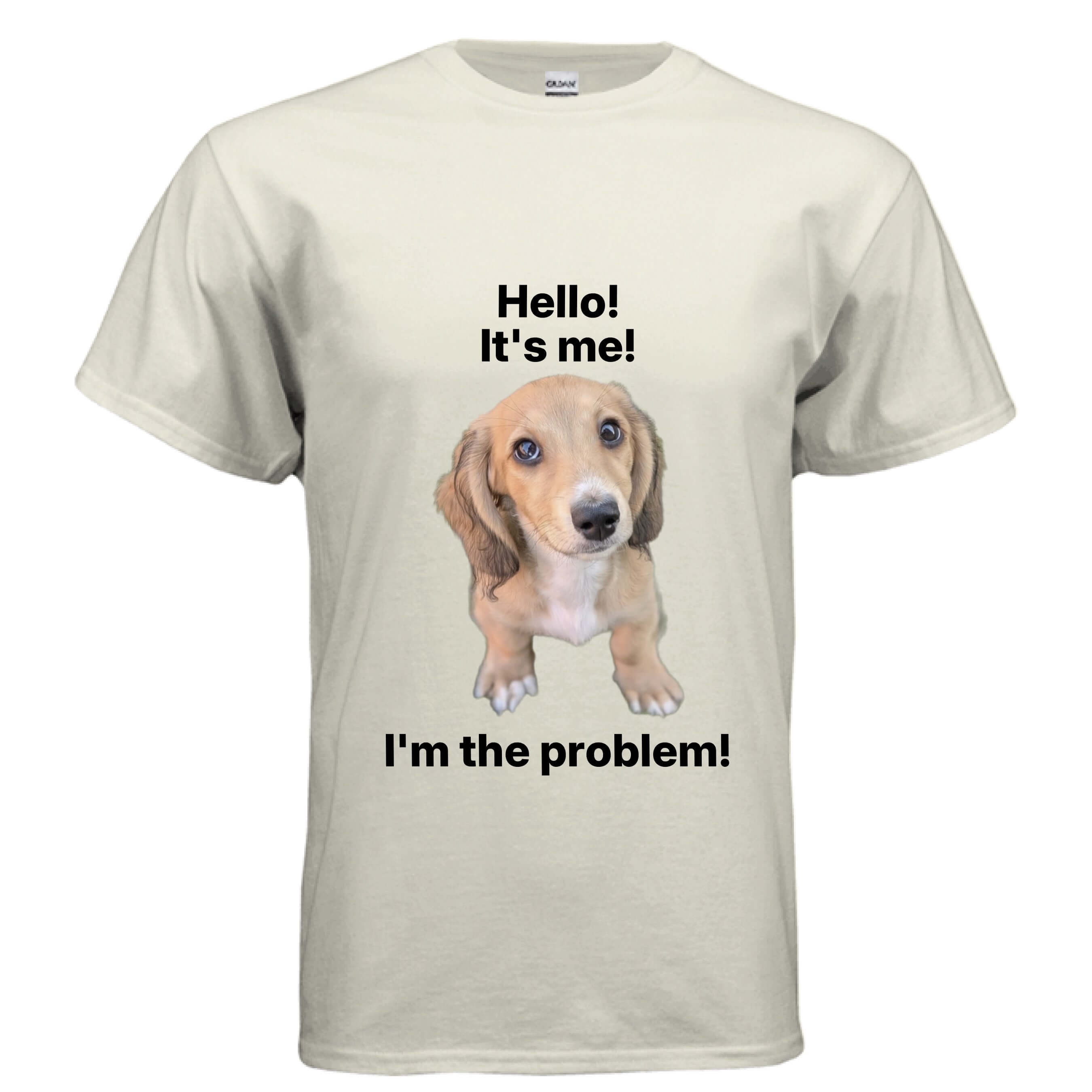 OBSIDIAN CODE brings you a fun Dachshund Lover tee made for wiener dog fans who enjoy humor, comfort, and adorable pup-inspired style.