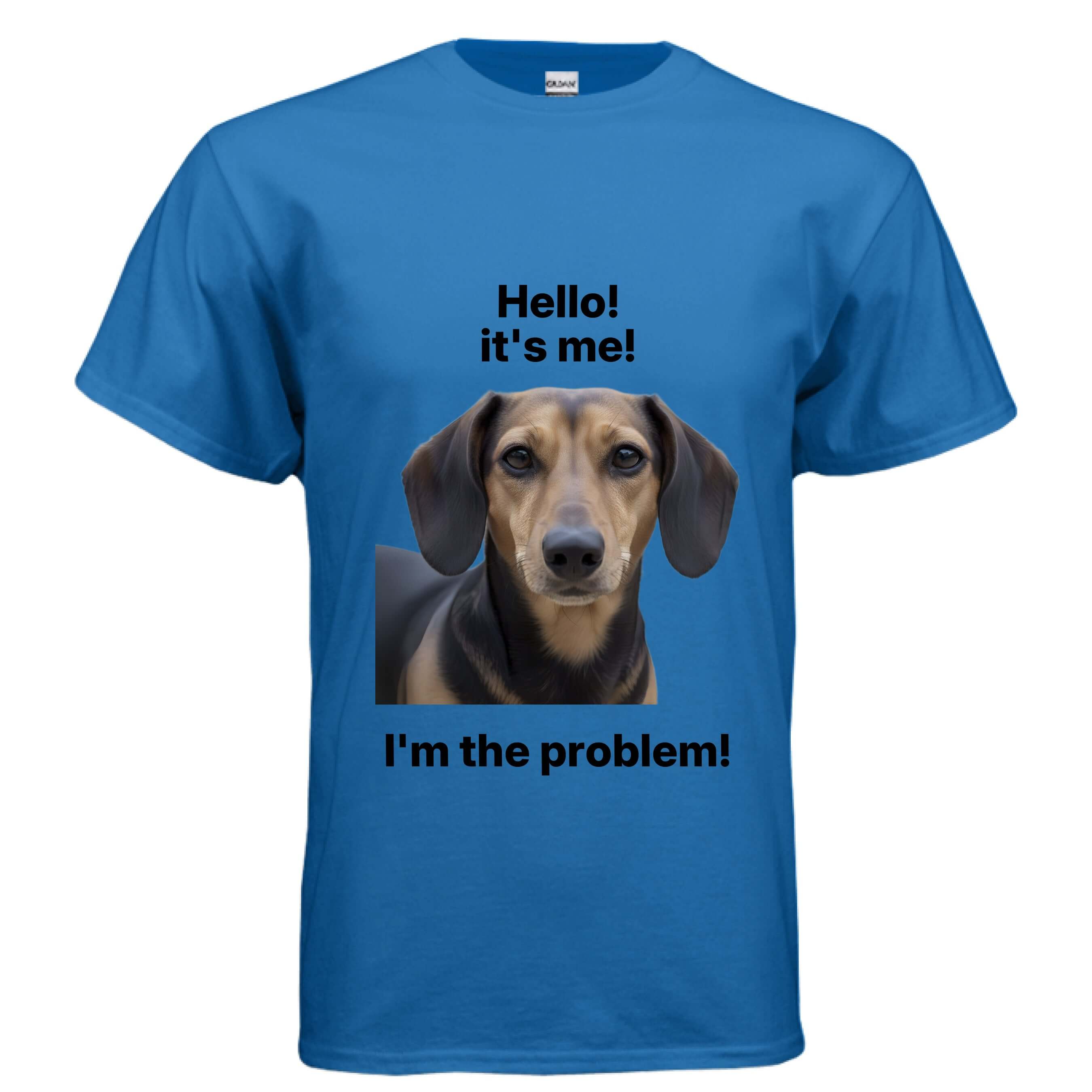 OBSIDIAN CODE brings you a fun Dachshund Lover tee made for wiener dog fans who enjoy humor, comfort, and adorable pup-inspired style.